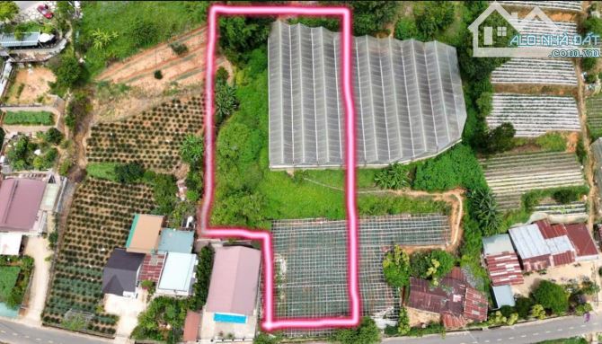 CHÍNH CHỦ CẦN BÁN HH2% Bán đất mặt tiền Đa Phú phường 7 Đà Lạt đầu tư kinh doanh - 2