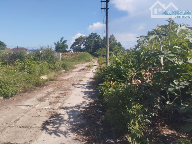 Bán đất khu tái định cư tăng long giá tốt - 1