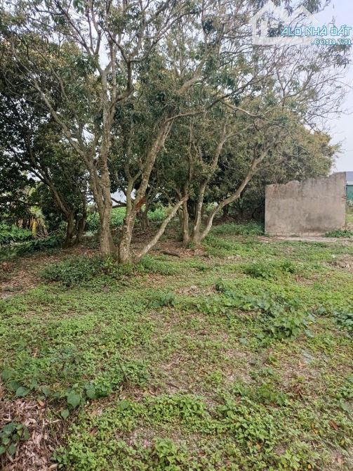 Bán đất -Bình Định - KX,DT rộng,đầu tư sinh lời,giá Rẻ,đường ô tô,DT:380m,Giá:1,52 tỉ - 1