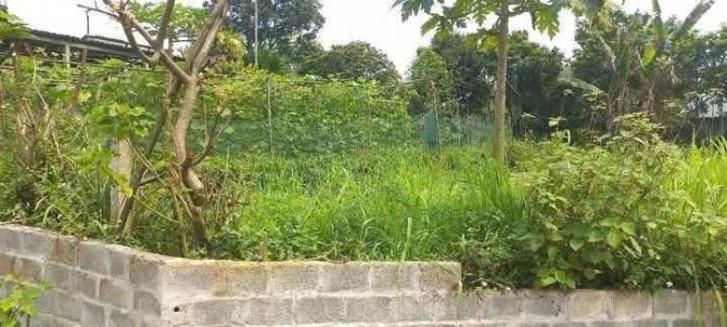 Dt 1373m2 gồm 200m2 thổ cư còn lại là đất vườn, tại Hợp Tiến, Kim Bôi, Hòa Bình. - 1