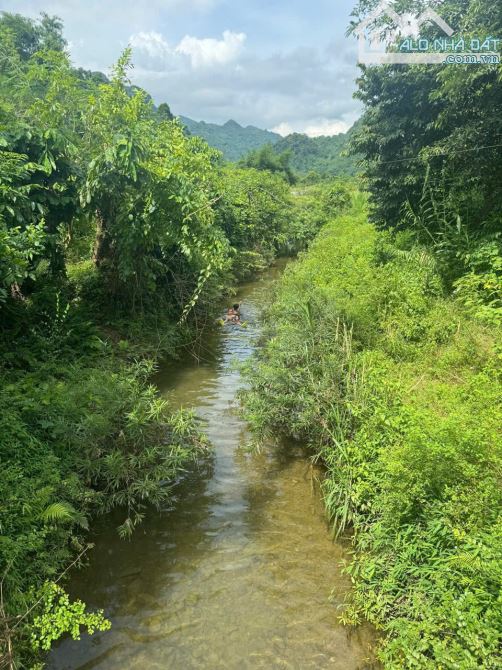 DT trên sổ 2398m ONT + CLN tại Hùng Sơn, Kim Bôi, Hòa Bình. - 1