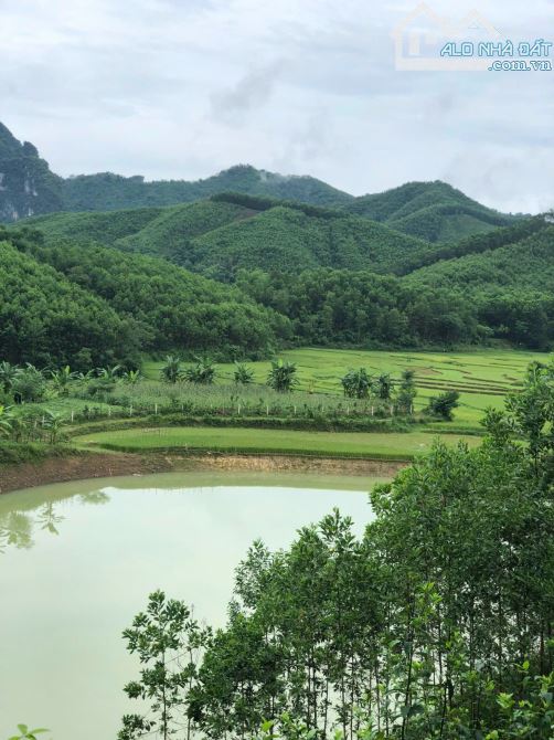 Chính chủ em bán 5000m2 đất view hồ, cánh đồng lúa xanh ngát tại Đú Sáng Kim Bôi, Hòa Bình - 1