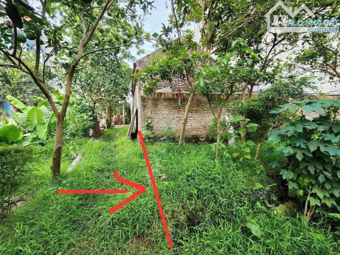 CỰC HIẾM 💥 BÁN ĐẤT LỆ CHI - GIA LÂM - ÍT TIỀN – Ở YÊN TĨNH - 57M² 💸 2.55 TỈ  🏡 - 1