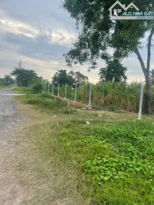 ĐẤT 2MT SÔNG SÀI GÒN NHỊ BÌNH, HÓC MÔN FULL THỔ CƯ 1.800m² NHĨNH 39 TỶ - 1