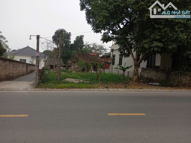 Đất đẹp Tản Lĩnh, Suối Hai, Ba Vì, 456m, 150m tc, mặt đường nhựa to, lô góc, chỉ 2.97tỷ - 1