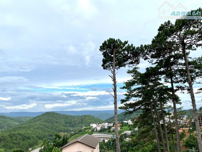 Bán đất Đà Lạt, view cực đẹp không che chắn, mặt tiền Hoàng Hoa Thám 540m2 ngang 20m 28T - 1