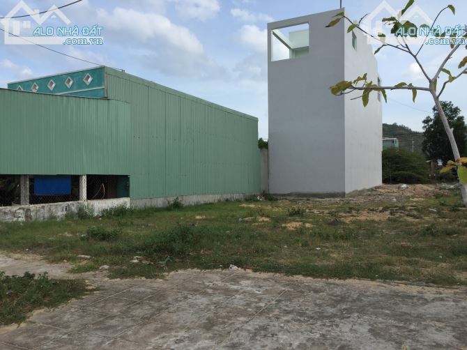 Cho thuê đất 100m2 đường Phạm Tu, phường Nhơn Bình, Quy Nhơn - 1