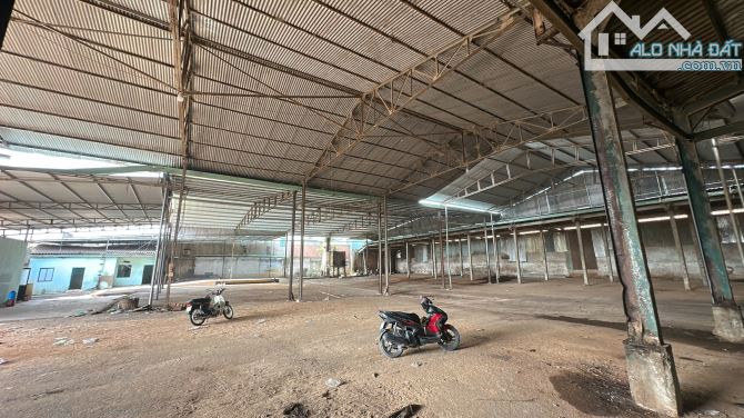 Cho Thuê Xưởng 2500m2 Làm Gỗ P Tân Hoà . Giá 50trieu - 1