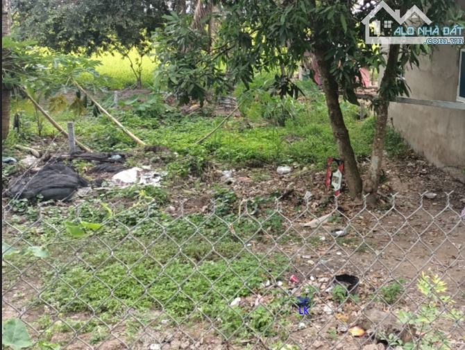 🔰 Bán 7.000m² (40m x 175m, thổ 400m², còn lại đất lúa)  🔰 Đường nhựa 3.5m, xã Mỹ Thọ - 1