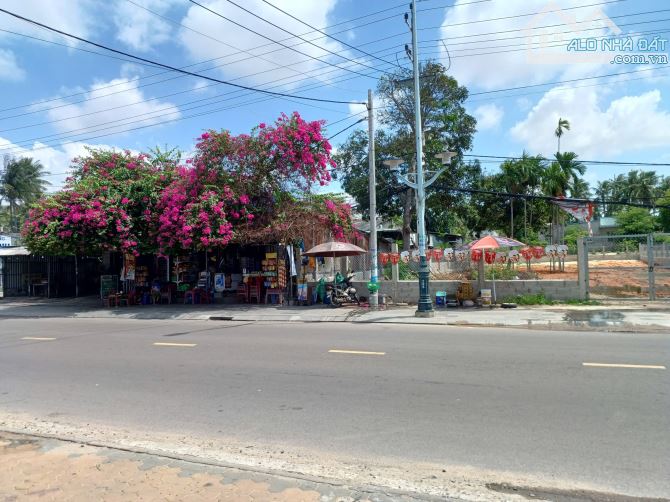 Bán 1200m2 Nguyễn Đình Chiểu, mặt tiền 20m , MTKD tại Mũi né, giá 28tr/m2 - 1