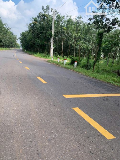 Chủ hạ giá bán gấp trong tuần 308m2 đất Thanh Tuyền 7x45m giá 980triệu - 1