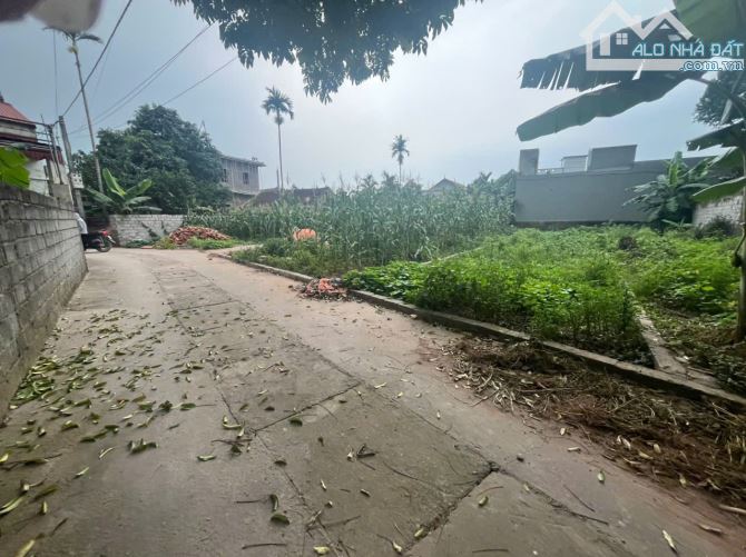 BÁN ĐẤT SIÊU ĐẸP 67M BỘT XUYÊN, MỸ ĐỨC, HÀ NỘI Ở HAY ĐẦU TƯ GIỮ TIỀN ĐỈNH - 1