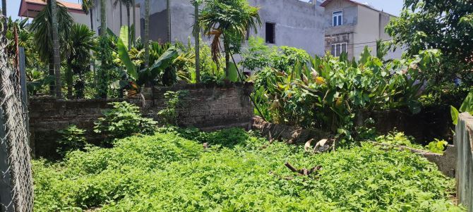 Bán lô đất tổ 12 đồng mai hà đông hà nội. Diện tích :65m², giá 2,6 tỷ. - 1