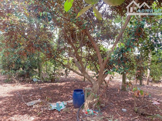 Bán khoảng 2 sào 2 (2170m2) đất xã Bàu Chinh, huyện Châu Đức, BRVT. - 2