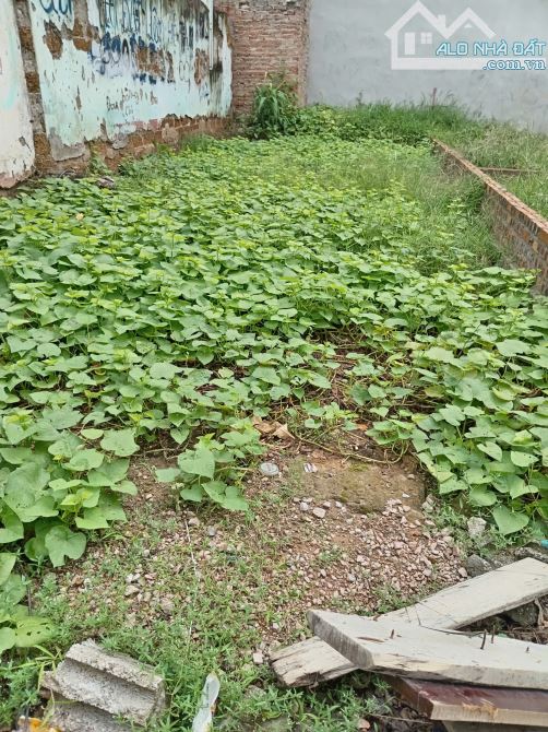 Bán 43m2 đất Thị trấn Liên Quan, Thạch Thất 1. 95 tỷ - 2