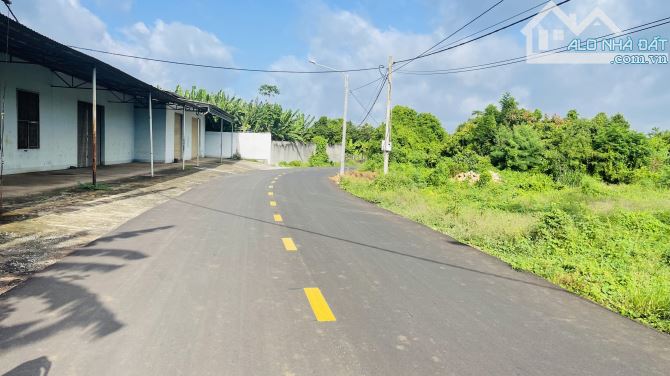Chủ Gửi Lô Đất Mặt Tiền Đường Nhựa 8m  Đường Nguyễn Đình Chiểu -Xã Đất Đỏ -Thành Phố Hồ Ch - 2