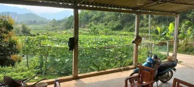Dt 1373m2 gồm 200m2 thổ cư còn lại là đất vườn, tại Hợp Tiến, Kim Bôi, Hòa Bình. - 2
