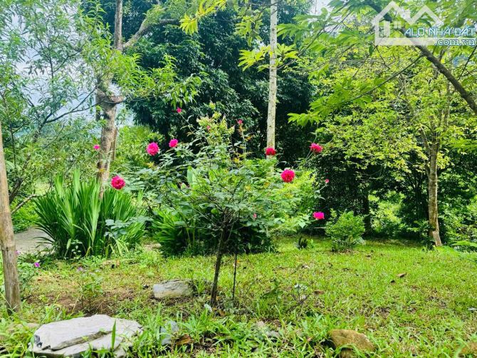 DT trên sổ 2398m ONT + CLN tại Hùng Sơn, Kim Bôi, Hòa Bình. - 2