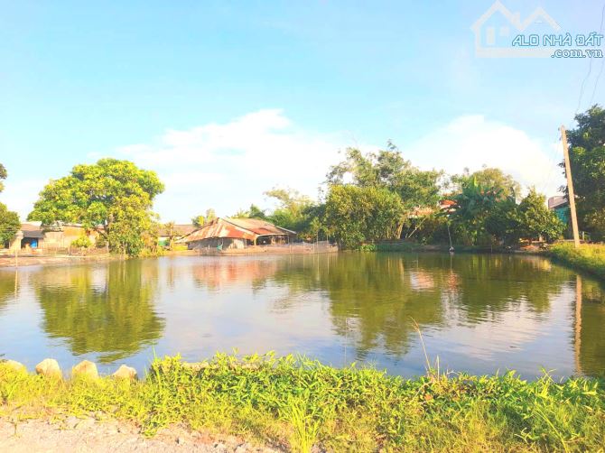 Siêu phẩm, chỉ 1.5 tỷ sở hữu 1692m2 đất thổ cư sát chợ Bình Lãng - 2
