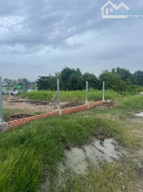 ĐẤT 2MT SÔNG SÀI GÒN NHỊ BÌNH, HÓC MÔN FULL THỔ CƯ 1.800m² NHĨNH 39 TỶ - 2