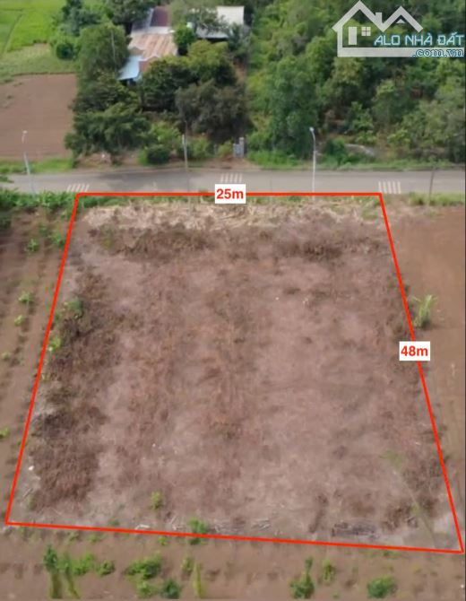 Lô đất đẹp vuông vức hiếm hoi Bàu Cạn Long Thành: 1.209m2 phủ hồng toàn bộ, cần bán gấp - 2