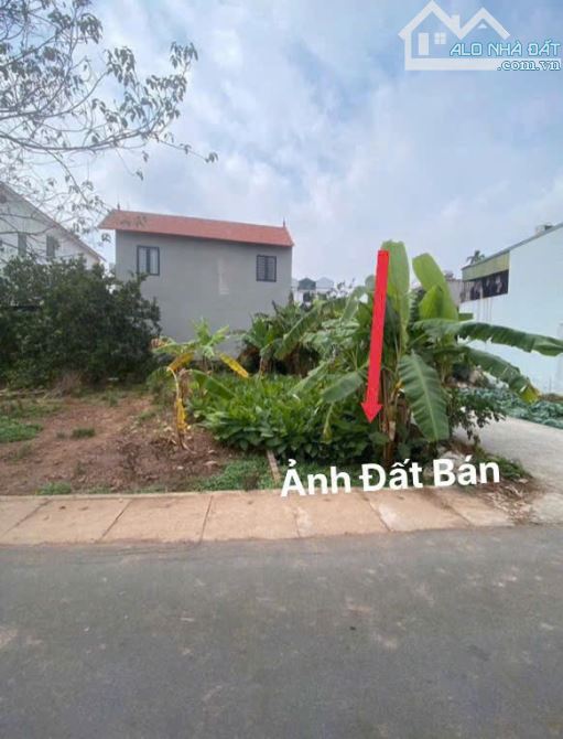 Đất đẹp Tản Lĩnh, Suối Hai, Ba Vì, 456m, 150m tc, mặt đường nhựa to, lô góc, chỉ 2.97tỷ - 2