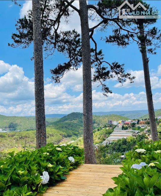 Bán đất Đà Lạt, view cực đẹp không che chắn, mặt tiền Hoàng Hoa Thám 540m2 ngang 20m 28T - 2