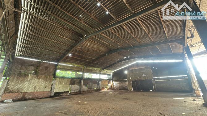 Cho Thuê Xưởng 2500m2 Làm Gỗ P Tân Hoà . Giá 50trieu - 2