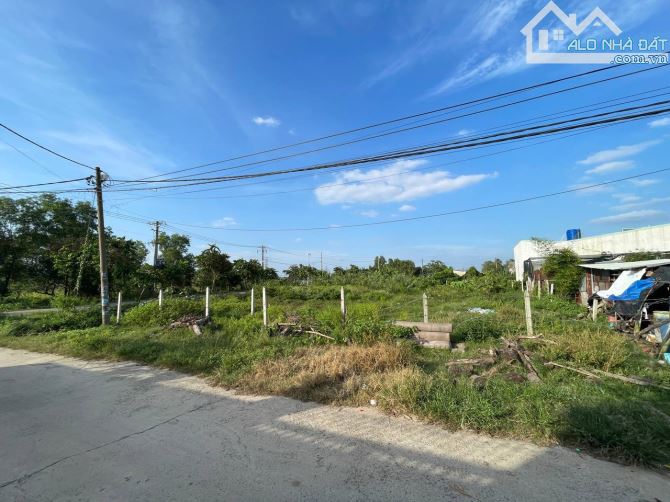 Bán lô đất 1000m2, mặt tiền Tân Hiệp 3, xã Hóc Môn. - 2