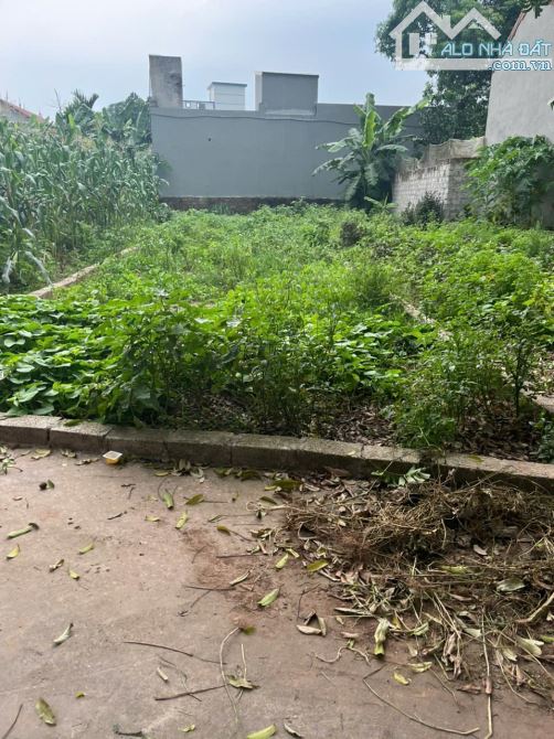 BÁN ĐẤT SIÊU ĐẸP 67M BỘT XUYÊN, MỸ ĐỨC, HÀ NỘI Ở HAY ĐẦU TƯ GIỮ TIỀN ĐỈNH - 2