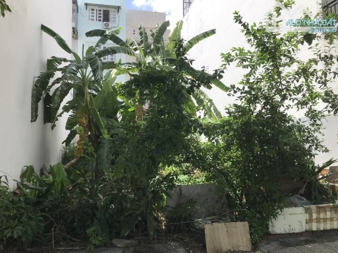 Đất mặt tiền 8,3x15m phường Bình Thuận, Quận 7 - Giá 12 tỷ - 3