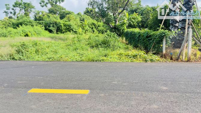 Chủ Gửi Lô Đất Mặt Tiền Đường Nhựa 8m  Đường Nguyễn Đình Chiểu -Xã Đất Đỏ -Thành Phố Hồ Ch - 3