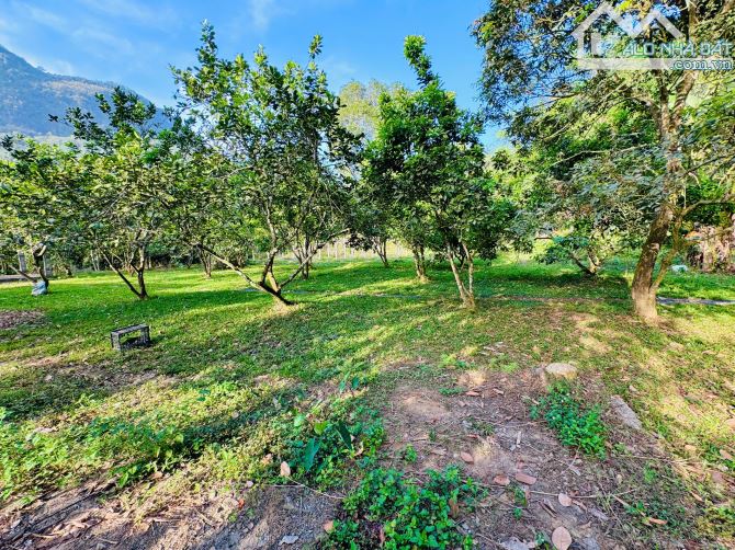 DT trên sổ 2398m ONT + CLN tại Hùng Sơn, Kim Bôi, Hòa Bình. - 3