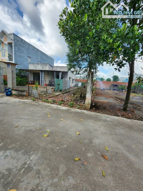 4Tỷ450__137m2 🔥👉 Bán Đất Xây Tự Do__đường 5m, cách Cây Da và Mỹ Phước Tân Vạn 150m - 3