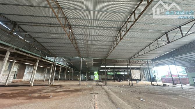Cho Thuê Xưởng 2500m2 Làm Gỗ P Tân Hoà . Giá 50trieu - 3