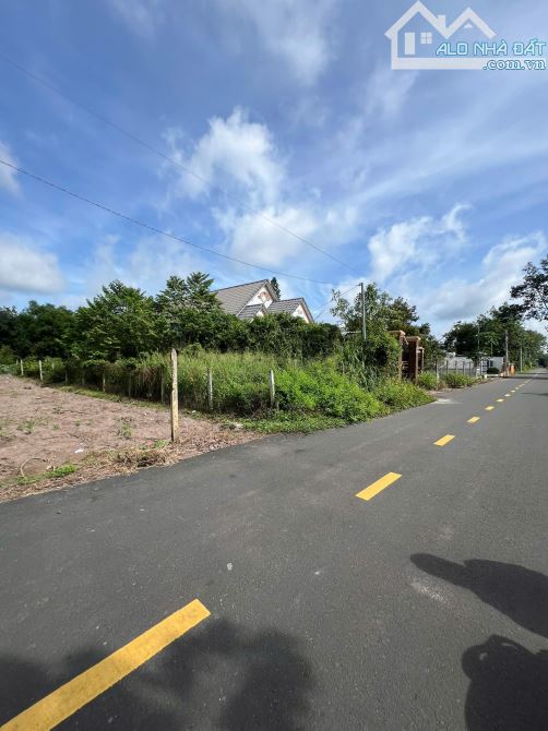 424M2 NẰM NGAY TRƯỜNG HỌC XUNG QUANH DÂN CƯ ĐÔNG KÍN - 3