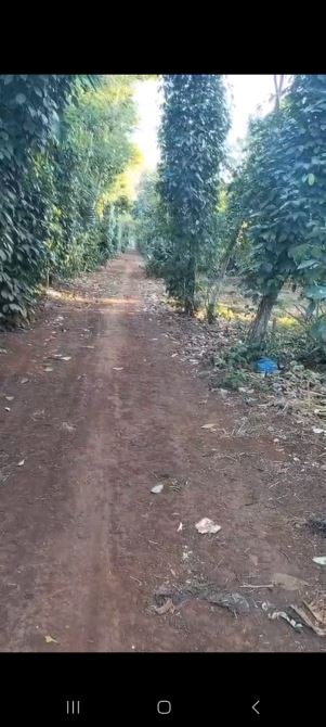 Bán 1653m2 Eatu Gần khu Dân Cư Buôn Kotam - 3