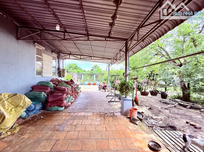 Bán nhà vườn 1102m mặt tiền Nguyễn V Bứa, ngay ngã tư Hóc Môn - 3