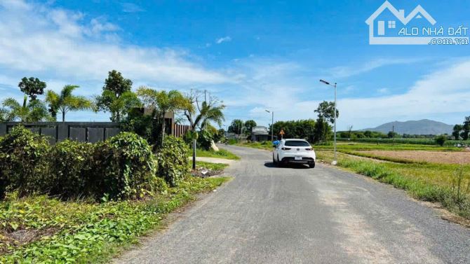 Chủ Ngộp - Cần Bán Nhanh lô đất ngang 15m x 37m có tc đường nhựa TT Đất Đỏ giá 2,45 tỷ tl - 3
