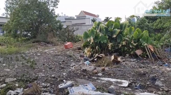 Bán đất mặt tiền ngay cổng Khu Công Nghiệp Vĩnh Lộc giá cực tốt - 3