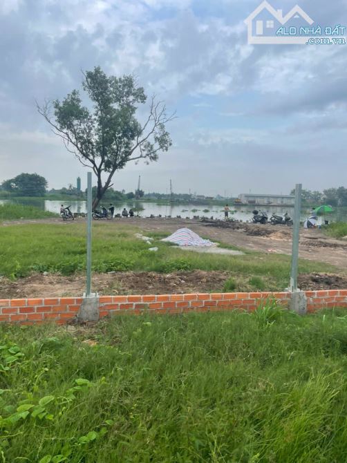 ĐẤT 2MT SÔNG SÀI GÒN NHỊ BÌNH, HÓC MÔN FULL THỔ CƯ 1.800m² NHĨNH 39 TỶ - 3