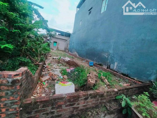 Bán lô đất Mạch Lũng,Đại Mạch gần cầu Thượng Cát, Ô tô giá đầu tư - 3