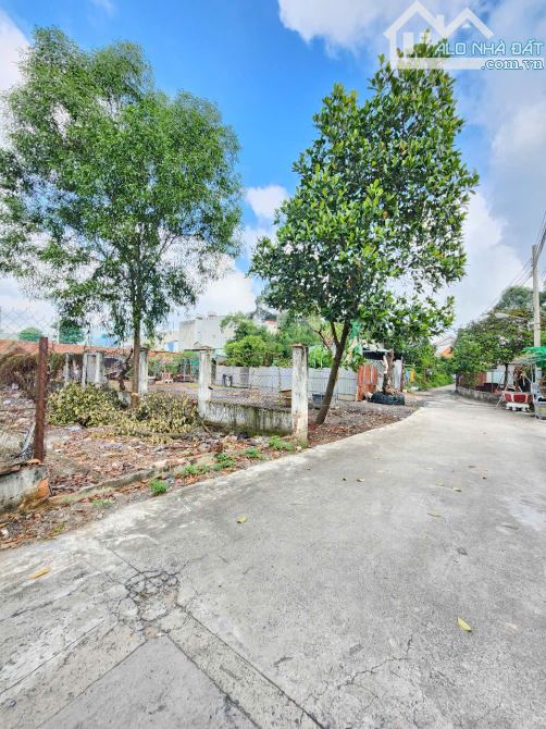 4Tỷ450__137m2 🔥👉 Bán Đất Xây Tự Do__đường 5m, cách Cây Da và Mỹ Phước Tân Vạn 150m - 4