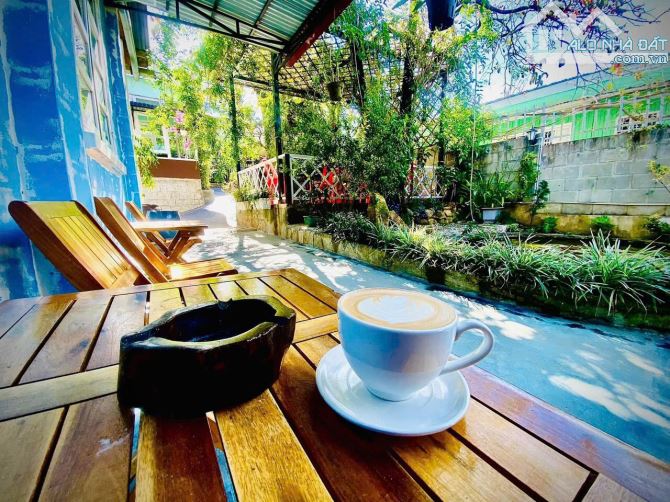 Bán nhà 3 mặt đường sân vườn siêu chill đường Cô Giang P.9 Đà Lạt - 4