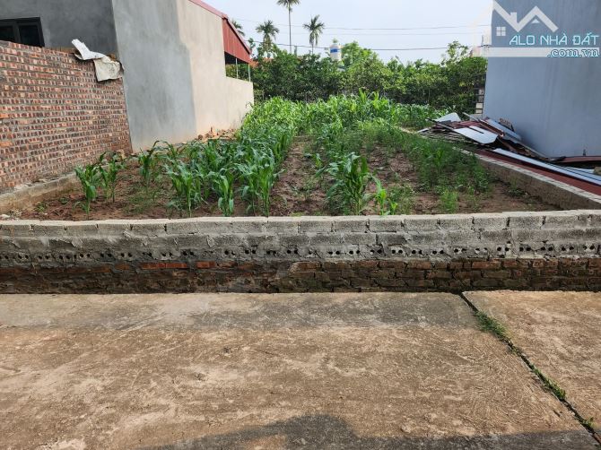 BÁN ĐẤT THÔN CD ,QUÁN TRẠCH ,LIÊN NGHĨA HƯNG YEN_ ÔT ĐI VÀO ĐẤT - 4