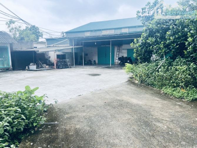 Cho thuê 300/600m2 kho/bãi gần kcn phú nghĩa - 4
