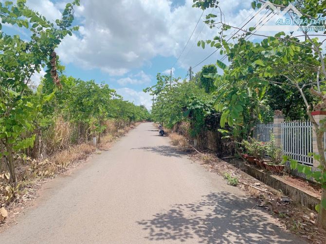 Bán khoảng 2 sào 2 (2170m2) đất xã Bàu Chinh, huyện Châu Đức, BRVT. - 5