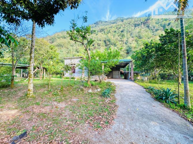 DT trên sổ 2398m ONT + CLN tại Hùng Sơn, Kim Bôi, Hòa Bình. - 5