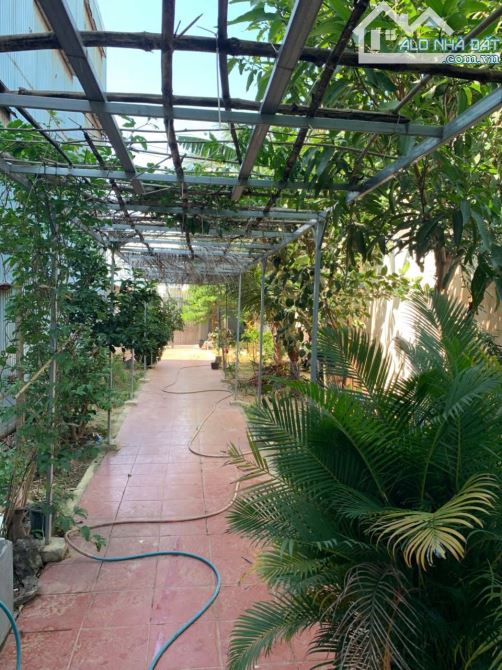 🏡 BÁN BIỆT THỰ - NHÀ YẾN 4 TẦNG KHU NHÀ VƯỜN NGHỈ DƯỠNG - 5