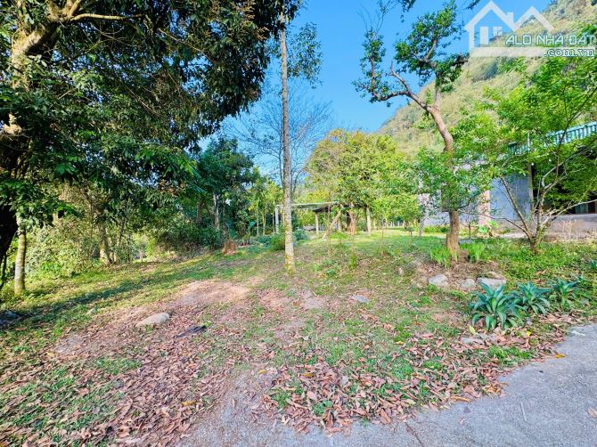 DT trên sổ 2398m ONT + CLN tại Hùng Sơn, Kim Bôi, Hòa Bình. - 6